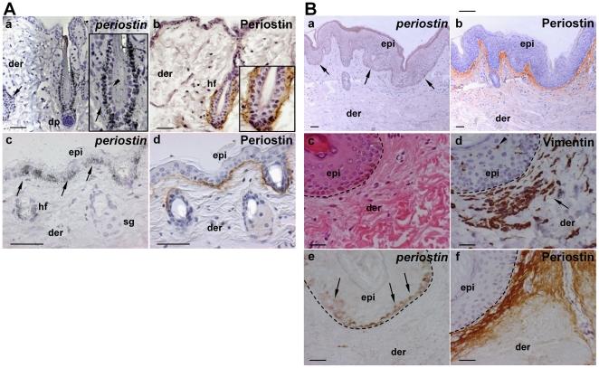 https://cdn.ncbi.nlm.nih.gov/pmc/blobs/3b94/3072397/ea95aa68f832/pone.0018410.g001.jpg