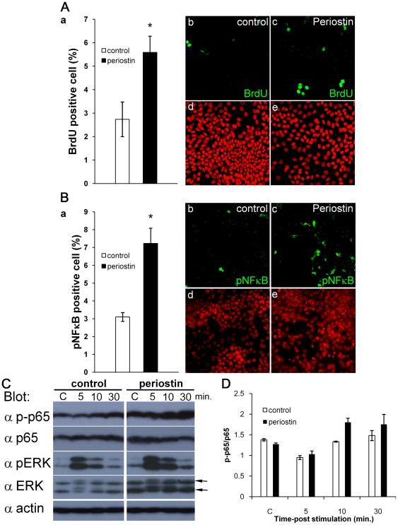 https://cdn.ncbi.nlm.nih.gov/pmc/blobs/3b94/3072397/fb55a1572f4d/pone.0018410.g007.jpg