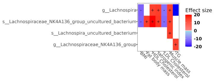https://cdn.ncbi.nlm.nih.gov/pmc/blobs/3b97/12388095/c987e71f55dc/microorganisms-13-01828-g005.jpg
