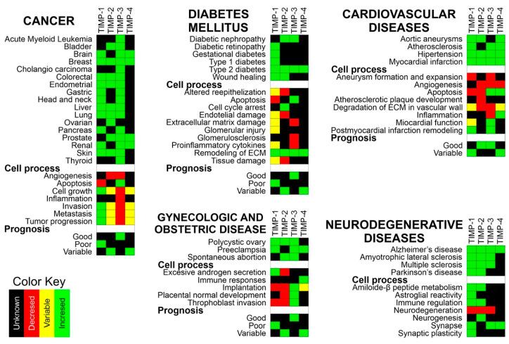 https://cdn.ncbi.nlm.nih.gov/pmc/blobs/3b98/7767220/7e19d88d262a/ijms-21-09739-g003.jpg