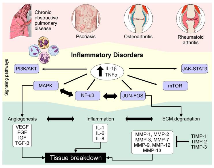 https://cdn.ncbi.nlm.nih.gov/pmc/blobs/3b98/7767220/f3ead54ed132/ijms-21-09739-g004.jpg