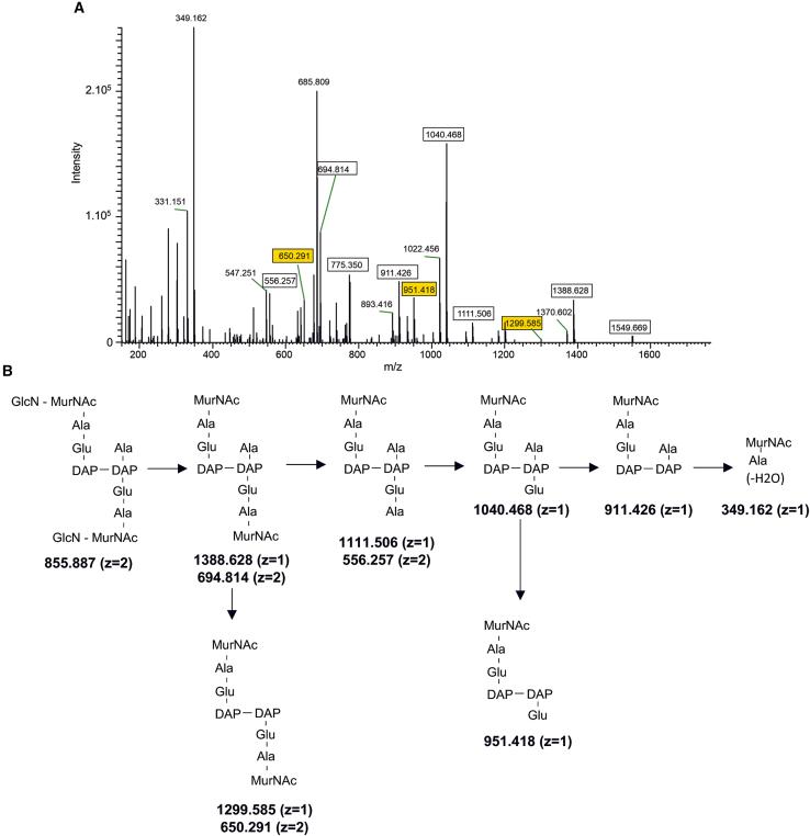 https://cdn.ncbi.nlm.nih.gov/pmc/blobs/3b99/11986978/a532a0508c16/gr4.jpg