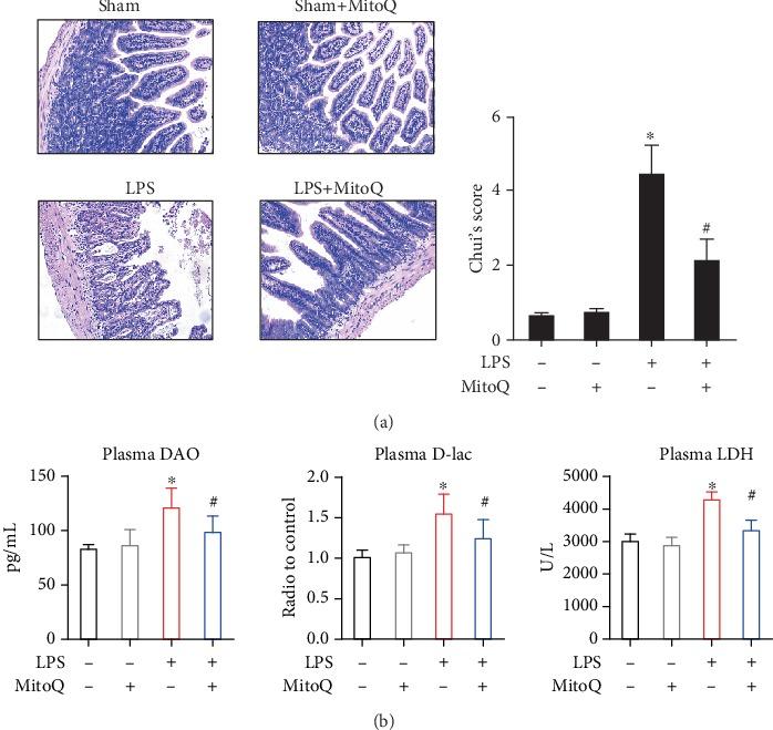 https://cdn.ncbi.nlm.nih.gov/pmc/blobs/3b99/7171662/8747e7aee219/MI2020-3276148.001.jpg
