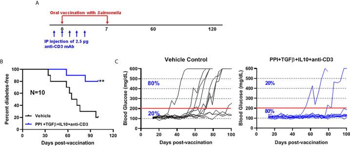 https://cdn.ncbi.nlm.nih.gov/pmc/blobs/3b99/8181392/3f619c6c6e0d/fimmu-12-667897-g004.jpg