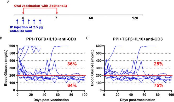 https://cdn.ncbi.nlm.nih.gov/pmc/blobs/3b99/8181392/49159eeae3e5/fimmu-12-667897-g006.jpg