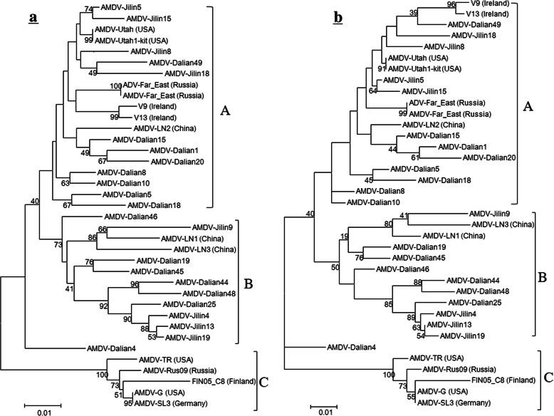 https://cdn.ncbi.nlm.nih.gov/pmc/blobs/3b9b/7395966/f964ddf3d4bb/12866_2020_1910_Fig2_HTML.jpg