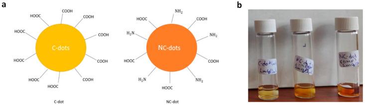 https://cdn.ncbi.nlm.nih.gov/pmc/blobs/3b9b/9823923/acfcb08736aa/nanomaterials-13-00169-g001.jpg