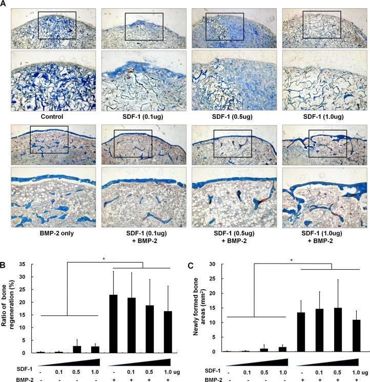 https://cdn.ncbi.nlm.nih.gov/pmc/blobs/3b9c/4363323/496c68288436/pone.0120051.g002.jpg