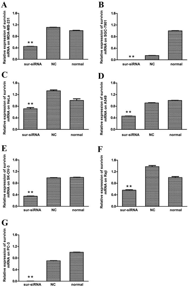 https://cdn.ncbi.nlm.nih.gov/pmc/blobs/3b9c/5488478/35b43484c10e/etm-14-01-0035-g01.jpg