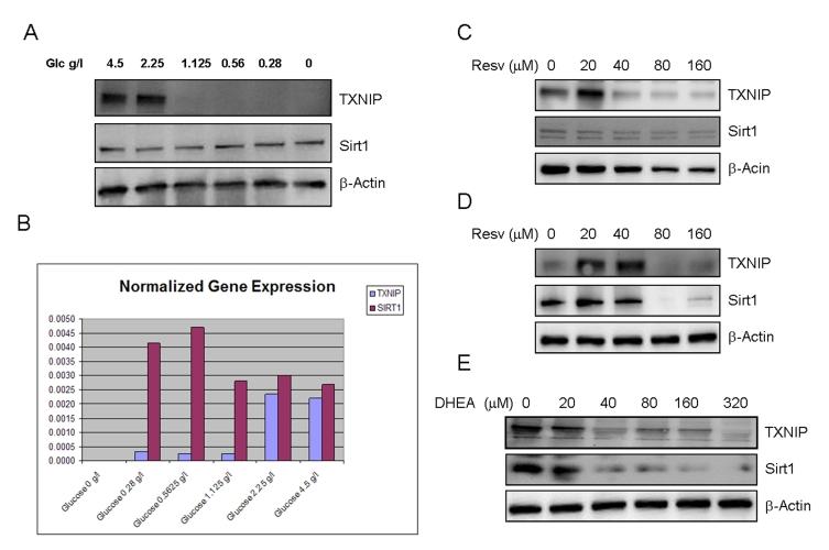 https://cdn.ncbi.nlm.nih.gov/pmc/blobs/3b9f/2830051/91fc755bbd8d/aging-01-412-g002.jpg