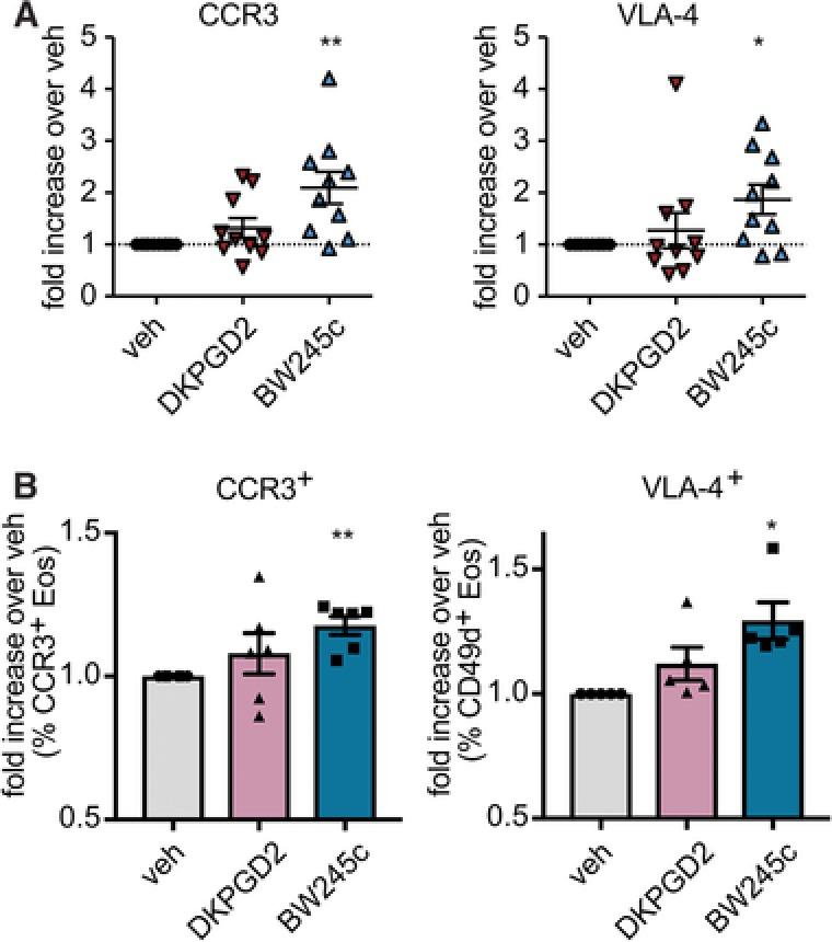 https://cdn.ncbi.nlm.nih.gov/pmc/blobs/3ba3/6032830/818791b250c5/JLB-104-159-g008.jpg