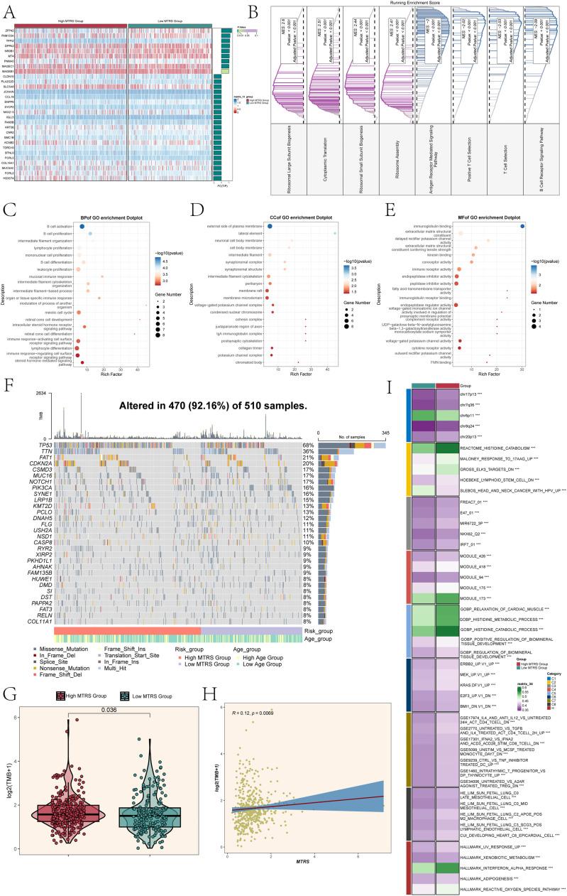 https://cdn.ncbi.nlm.nih.gov/pmc/blobs/3ba5/11931390/b25404f56a03/gr7.jpg