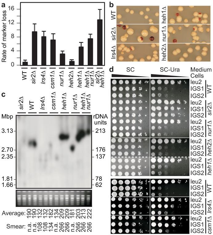 https://cdn.ncbi.nlm.nih.gov/pmc/blobs/3ba6/2596277/9fecb242222c/nihms-71410-f0002.jpg