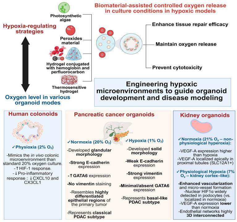 https://cdn.ncbi.nlm.nih.gov/pmc/blobs/3ba7/12467935/1d857051bb52/biomimetics-10-00624-g007.jpg