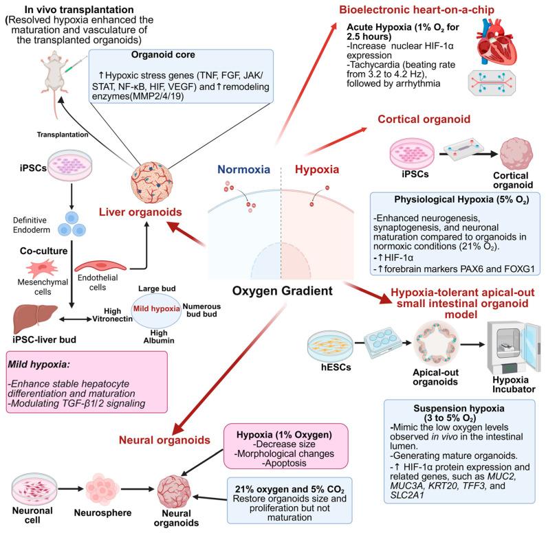 https://cdn.ncbi.nlm.nih.gov/pmc/blobs/3ba7/12467935/7b359ded59ef/biomimetics-10-00624-g006.jpg