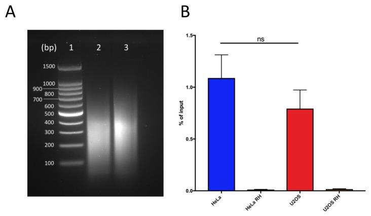https://cdn.ncbi.nlm.nih.gov/pmc/blobs/3baa/7767442/85a27d844094/ijms-21-09774-g001.jpg