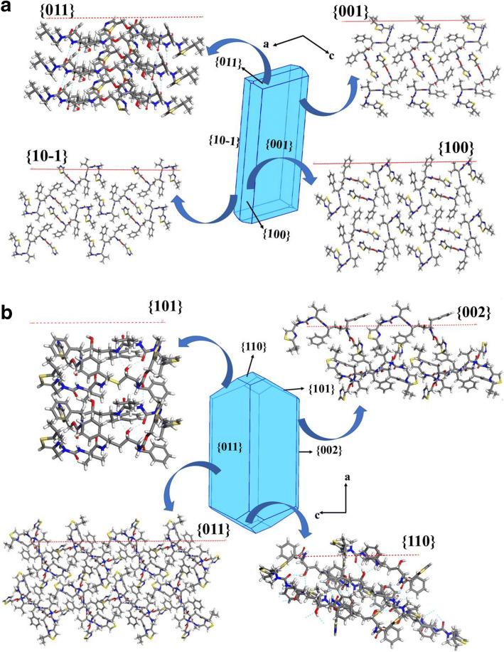 https://cdn.ncbi.nlm.nih.gov/pmc/blobs/3bab/8217055/6c85304c55c6/11095_2021_3048_Fig8_HTML.jpg