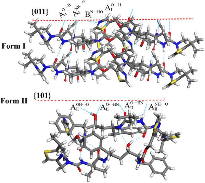 https://cdn.ncbi.nlm.nih.gov/pmc/blobs/3bab/8217055/981c8619983d/11095_2021_3048_Fig10_HTML.jpg