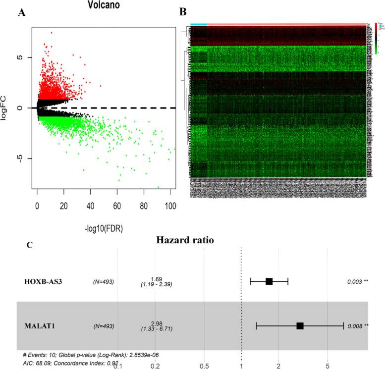 https://cdn.ncbi.nlm.nih.gov/pmc/blobs/3bad/9511773/9ab561991f80/41021_2022_252_Fig1_HTML.jpg