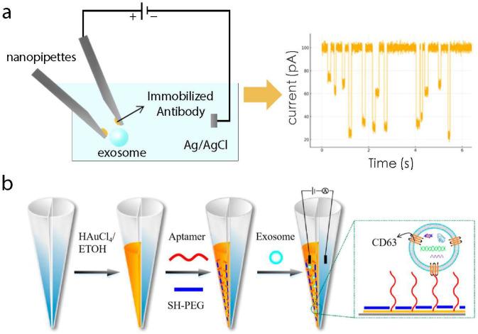 https://cdn.ncbi.nlm.nih.gov/pmc/blobs/3bae/12024935/2f9c11e049d6/biosensors-15-00199-g002.jpg