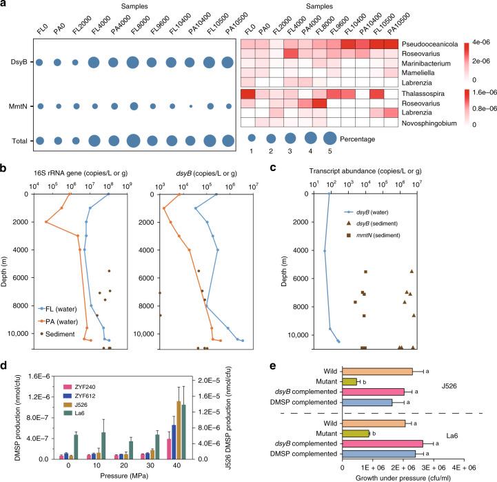 https://cdn.ncbi.nlm.nih.gov/pmc/blobs/3bae/7494906/75397724aa6f/41467_2020_18434_Fig2_HTML.jpg