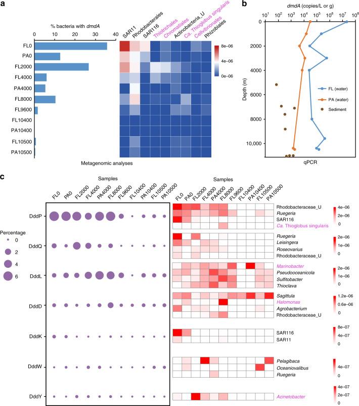 https://cdn.ncbi.nlm.nih.gov/pmc/blobs/3bae/7494906/c6751ce4d74d/41467_2020_18434_Fig3_HTML.jpg