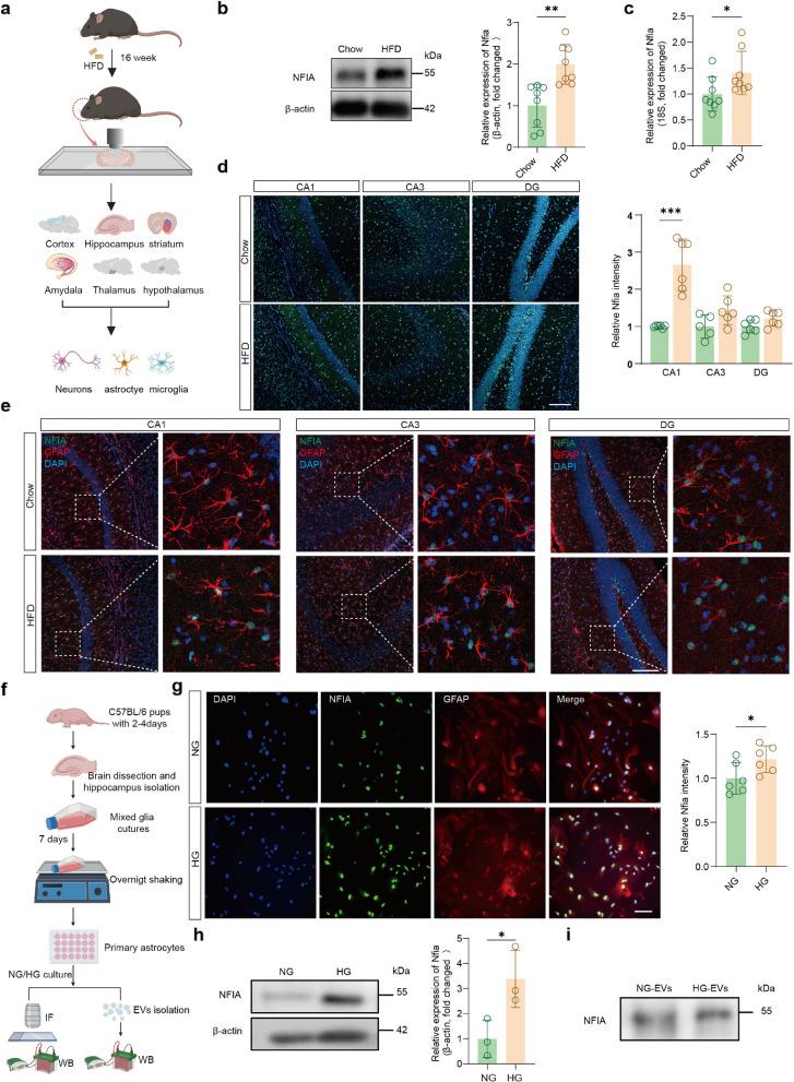 https://cdn.ncbi.nlm.nih.gov/pmc/blobs/3bb0/12125936/022eb6c48235/12974_2025_3473_Fig3_HTML.jpg