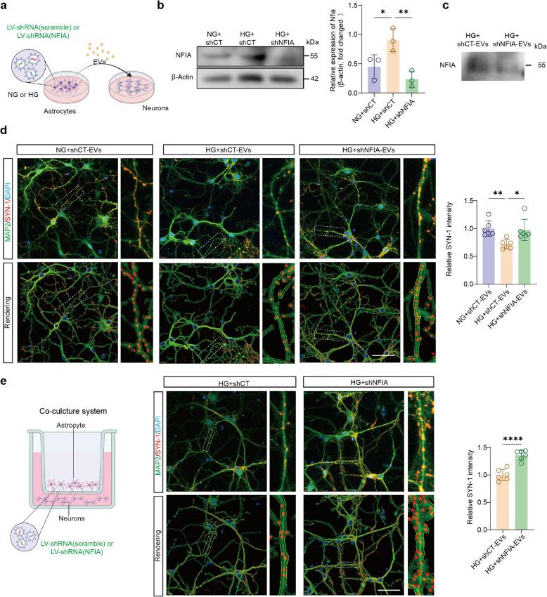 https://cdn.ncbi.nlm.nih.gov/pmc/blobs/3bb0/12125936/197ae1944b21/12974_2025_3473_Fig7_HTML.jpg
