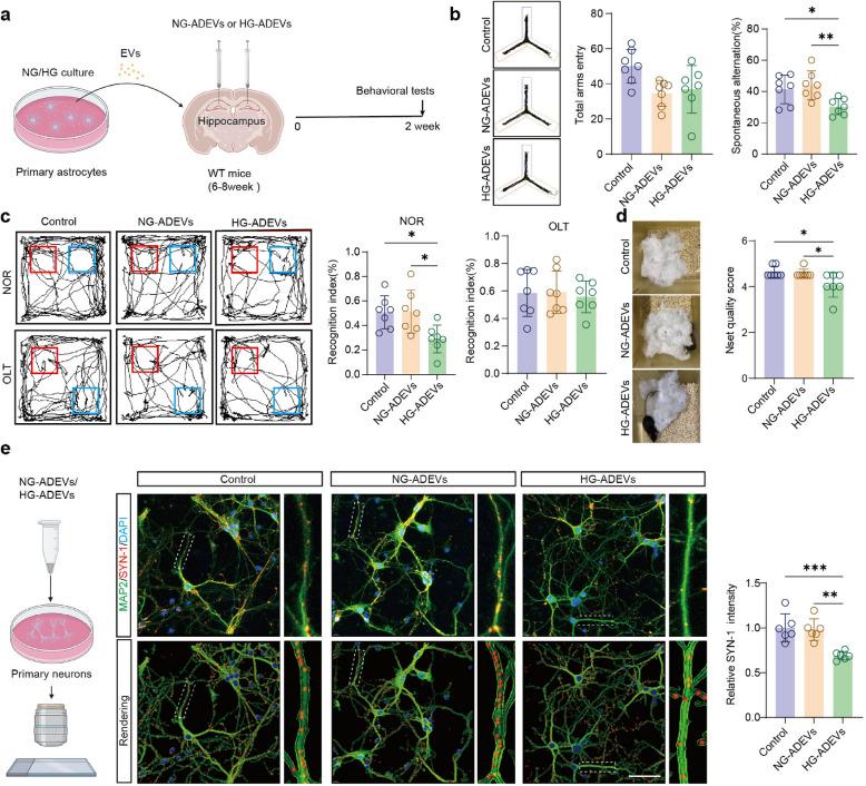 https://cdn.ncbi.nlm.nih.gov/pmc/blobs/3bb0/12125936/f21d1abb435c/12974_2025_3473_Fig5_HTML.jpg