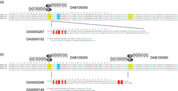 https://cdn.ncbi.nlm.nih.gov/pmc/blobs/3bb1/11388573/3c58ea3c948d/PBI-16-2088-g001.jpg