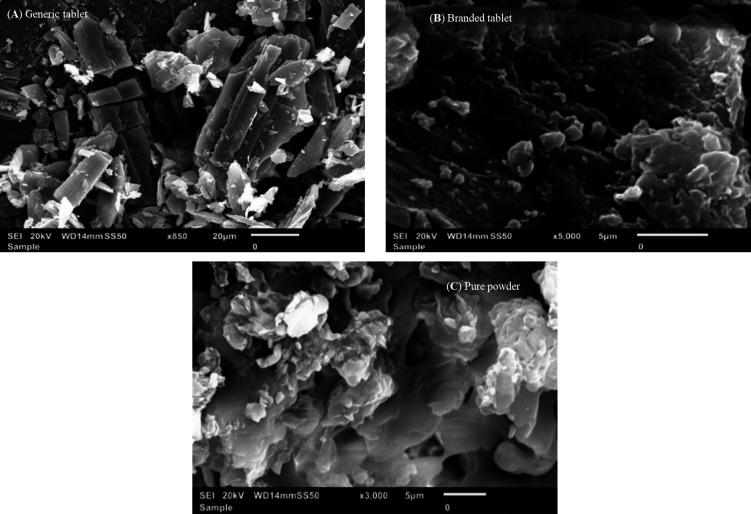 https://cdn.ncbi.nlm.nih.gov/pmc/blobs/3bb2/11002526/12a991508cdd/f1000research-12-153979-g0005.jpg