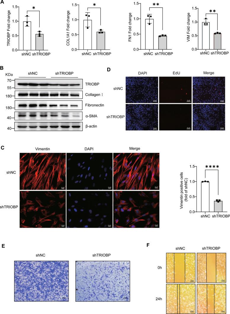 https://cdn.ncbi.nlm.nih.gov/pmc/blobs/3bb2/11072289/10d7b086cc4a/18_2023_5080_Fig4_HTML.jpg