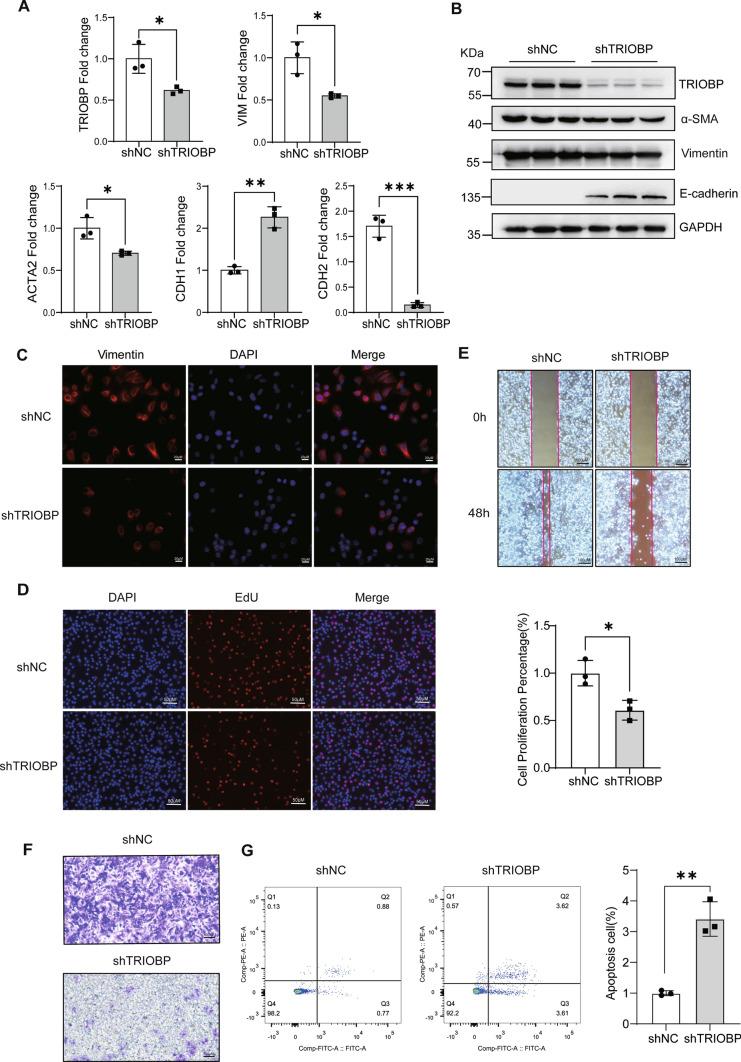 https://cdn.ncbi.nlm.nih.gov/pmc/blobs/3bb2/11072289/f83fd86600f7/18_2023_5080_Fig3_HTML.jpg