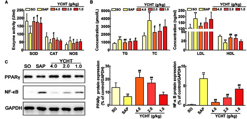 https://cdn.ncbi.nlm.nih.gov/pmc/blobs/3bb3/5061810/f6a3cadfb97c/fphar-07-00378-g007.jpg