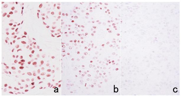 https://cdn.ncbi.nlm.nih.gov/pmc/blobs/3bb4/8232789/b05d16829c93/cells-10-01501-g024.jpg