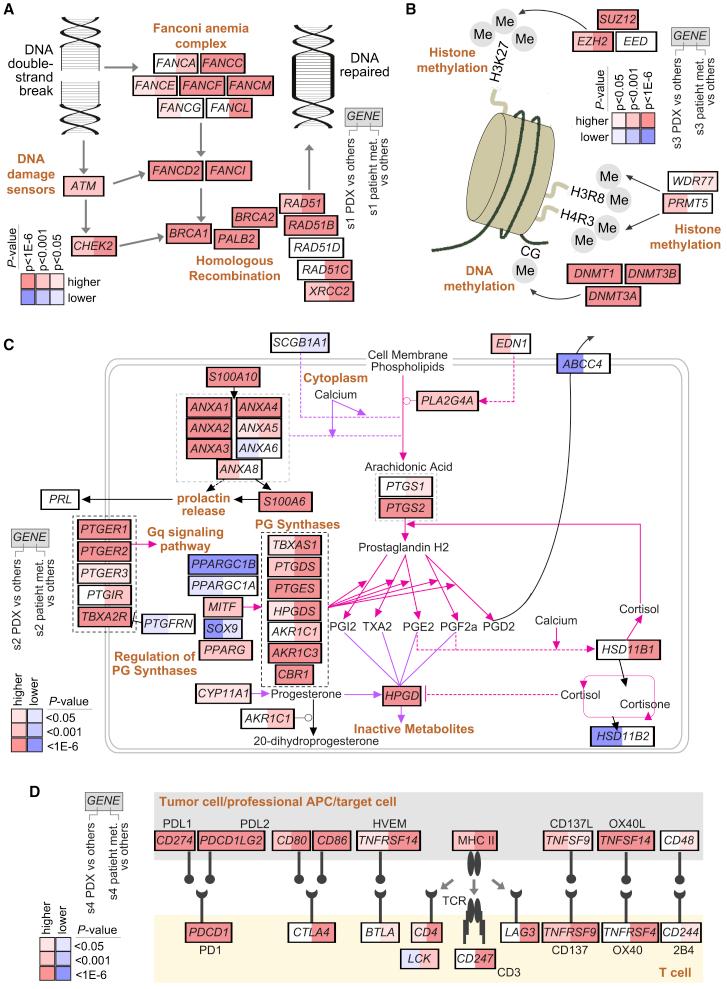 https://cdn.ncbi.nlm.nih.gov/pmc/blobs/3bb5/9975284/e7e011ed8915/gr6.jpg