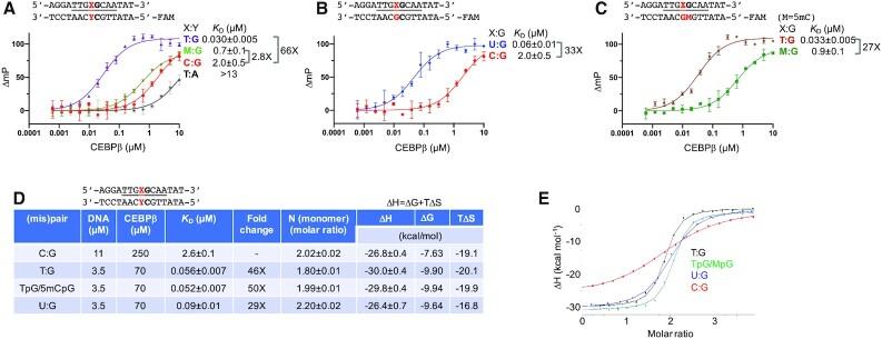 https://cdn.ncbi.nlm.nih.gov/pmc/blobs/3bb8/8136768/7683254629de/gkab276fig2.jpg