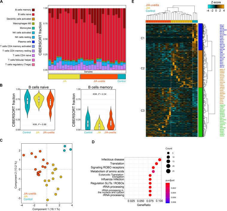 https://cdn.ncbi.nlm.nih.gov/pmc/blobs/3bba/7527539/dd7ade544ce1/fimmu-11-02170-g001.jpg