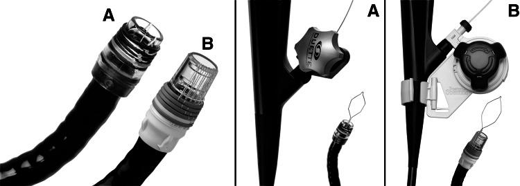 https://cdn.ncbi.nlm.nih.gov/pmc/blobs/3bbb/4735249/2d5856a419a7/464_2015_4222_Fig1_HTML.jpg