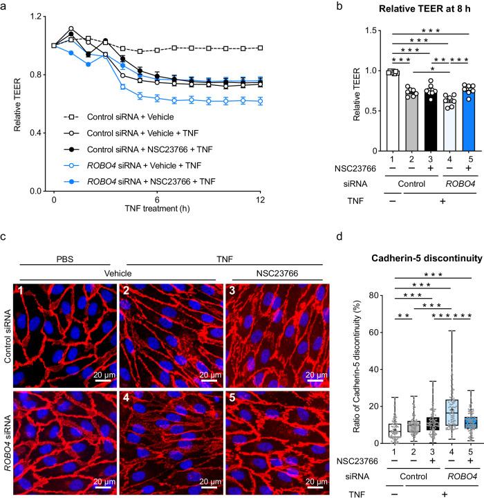 https://cdn.ncbi.nlm.nih.gov/pmc/blobs/3bbc/11102558/32240852de6d/42003_2024_6317_Fig4_HTML.jpg