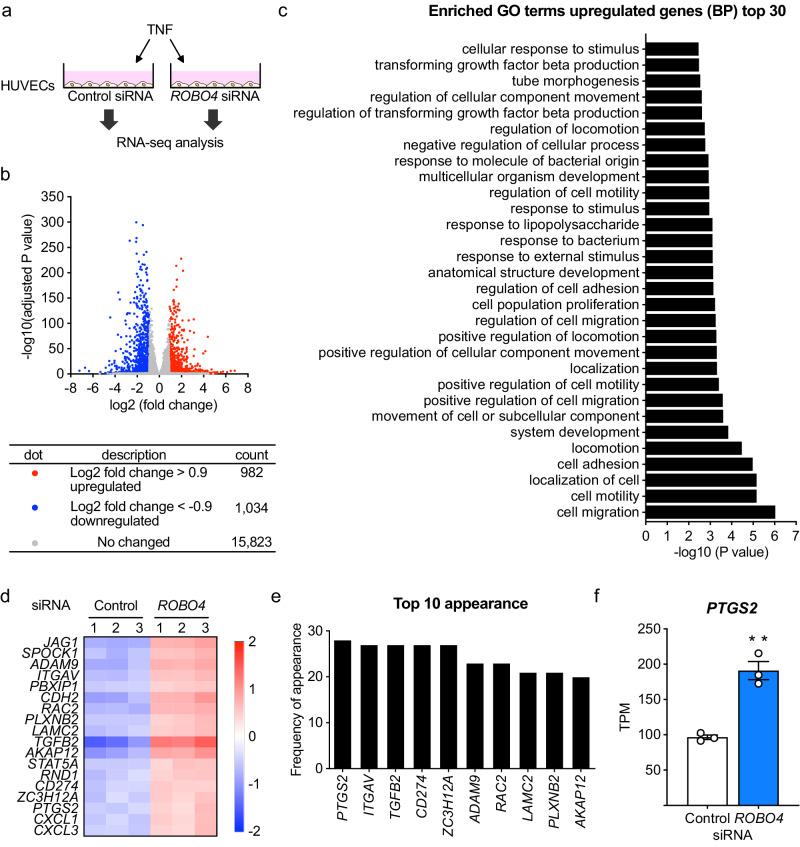 https://cdn.ncbi.nlm.nih.gov/pmc/blobs/3bbc/11102558/4f5b92c47236/42003_2024_6317_Fig1_HTML.jpg