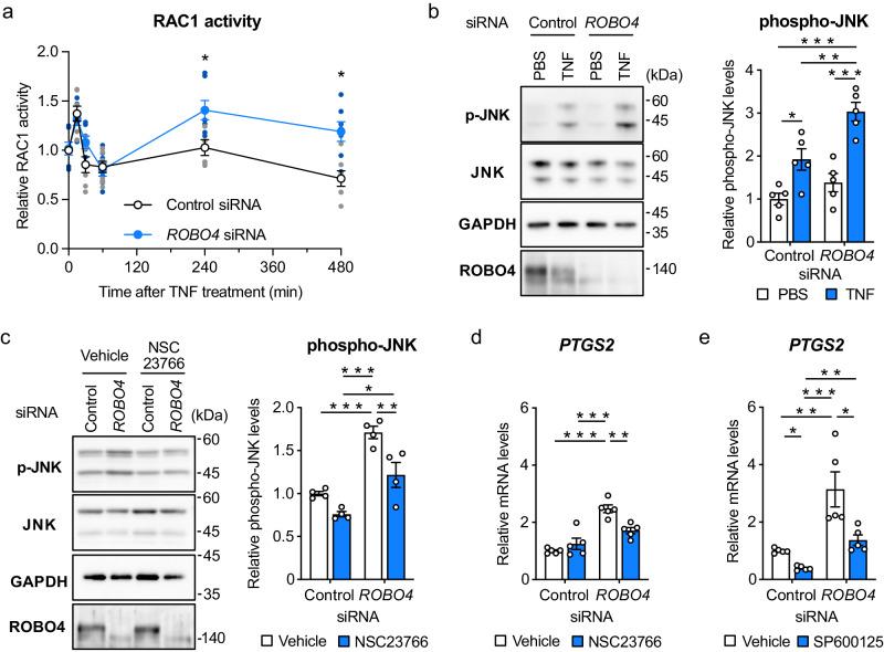 https://cdn.ncbi.nlm.nih.gov/pmc/blobs/3bbc/11102558/8cd73b2a70fe/42003_2024_6317_Fig3_HTML.jpg