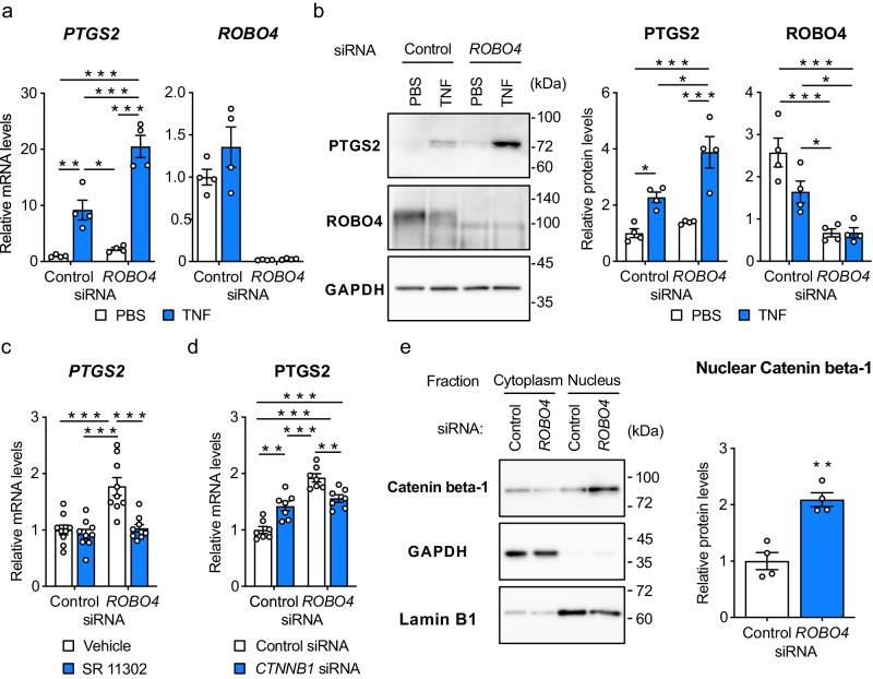 https://cdn.ncbi.nlm.nih.gov/pmc/blobs/3bbc/11102558/b807a9e4b5d1/42003_2024_6317_Fig2_HTML.jpg
