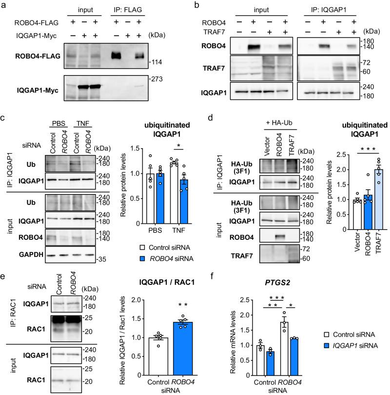 https://cdn.ncbi.nlm.nih.gov/pmc/blobs/3bbc/11102558/f5034937e64c/42003_2024_6317_Fig5_HTML.jpg