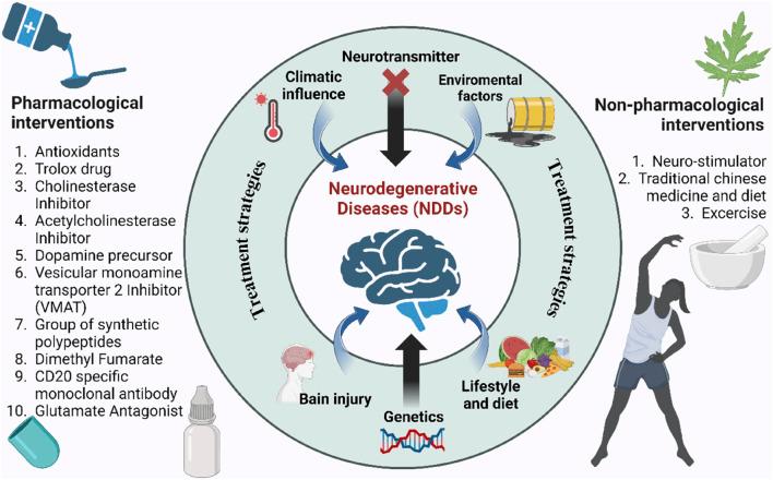 https://cdn.ncbi.nlm.nih.gov/pmc/blobs/3bbd/12325240/5beb9af3299c/fphar-16-1630475-g002.jpg