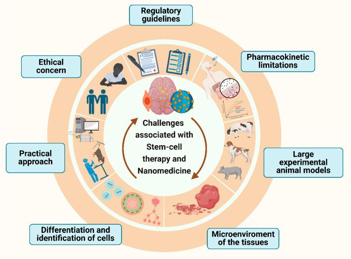 https://cdn.ncbi.nlm.nih.gov/pmc/blobs/3bbd/12325240/87ce96ecfb2d/fphar-16-1630475-g011.jpg