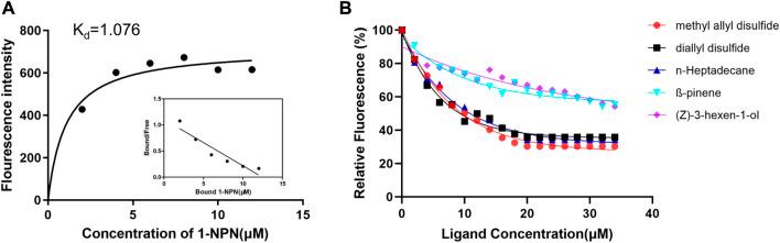 https://cdn.ncbi.nlm.nih.gov/pmc/blobs/3bbe/9552003/72d3c72a18cf/fphys-13-989601-g002.jpg
