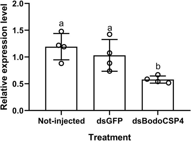 https://cdn.ncbi.nlm.nih.gov/pmc/blobs/3bbe/9552003/9b2e6a088e48/fphys-13-989601-g004.jpg