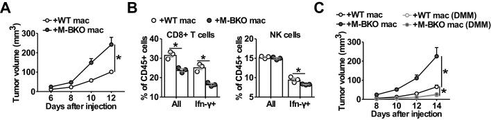 https://cdn.ncbi.nlm.nih.gov/pmc/blobs/3bbf/7259948/8cc373bedc52/elife-54090-fig7.jpg