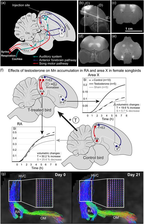https://cdn.ncbi.nlm.nih.gov/pmc/blobs/3bc1/9804379/cb55b8b66a4a/JEZ-337-967-g004.jpg